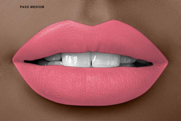 Liquid Lipstick: Pass - Medium Tone