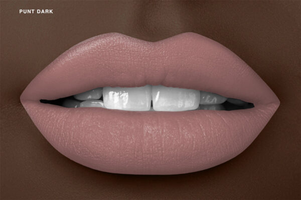 Liquid Lipstick: Punt - Dark Tone