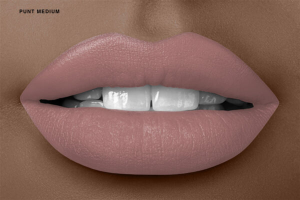 Liquid Lipstick: Punt - Medium Tone
