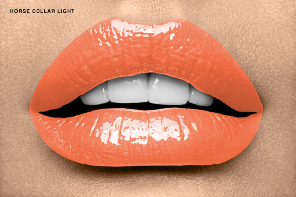 Lip Gloss: Horse Collar - Light Tone